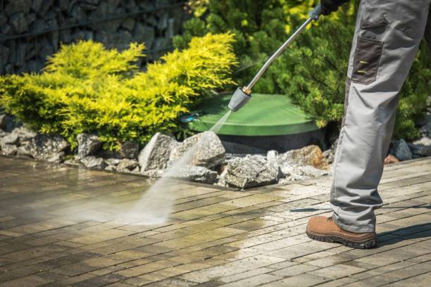 Best Driveway Pressure Washing  in Oak Park, IL